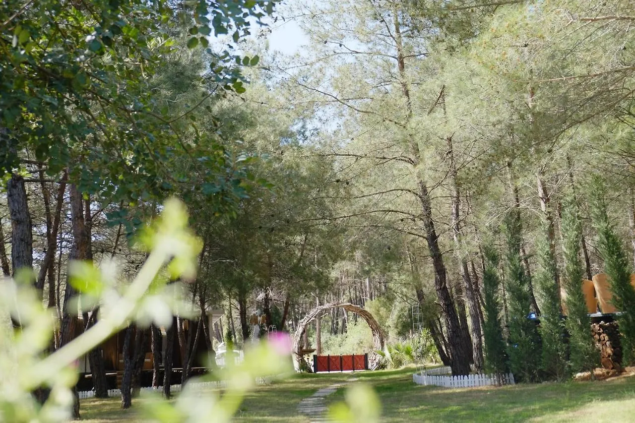 Mossa Afkule Kayakoey Hotel Fethiye